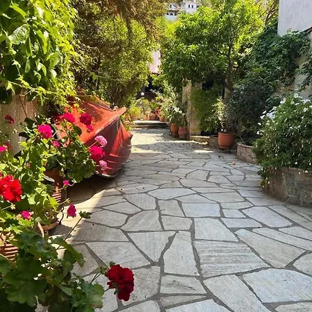 Afissos-dream 3studios Lejlighed Afissos