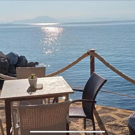 Afissos-dream 3studios 아피소스