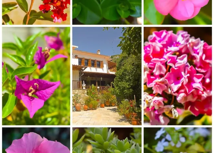 Afissos-dream 3studios Apartment *